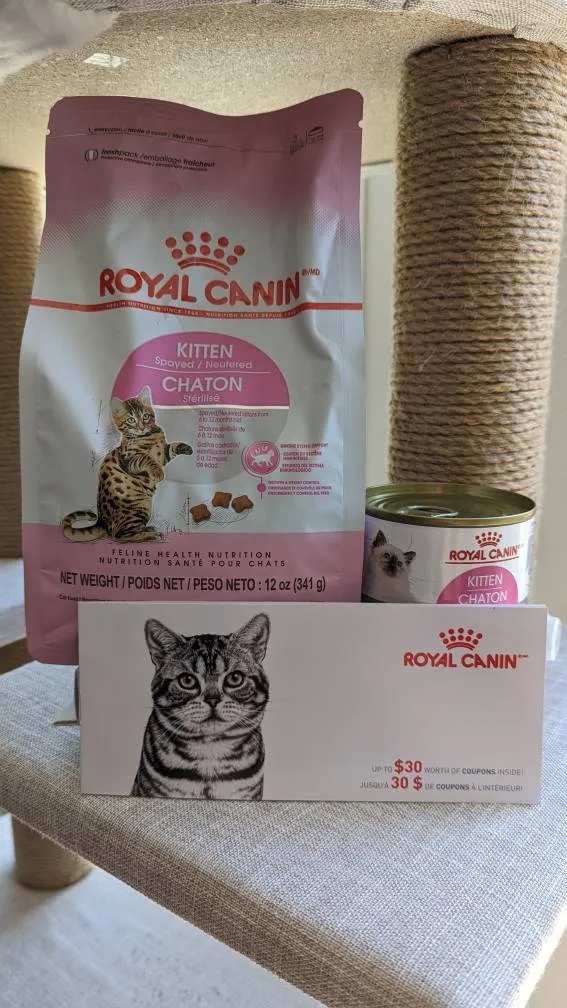 Royal Canin Kitten Food & Coupons photo 1
