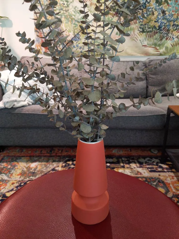 Vase With Old Eucalyptus photo 1