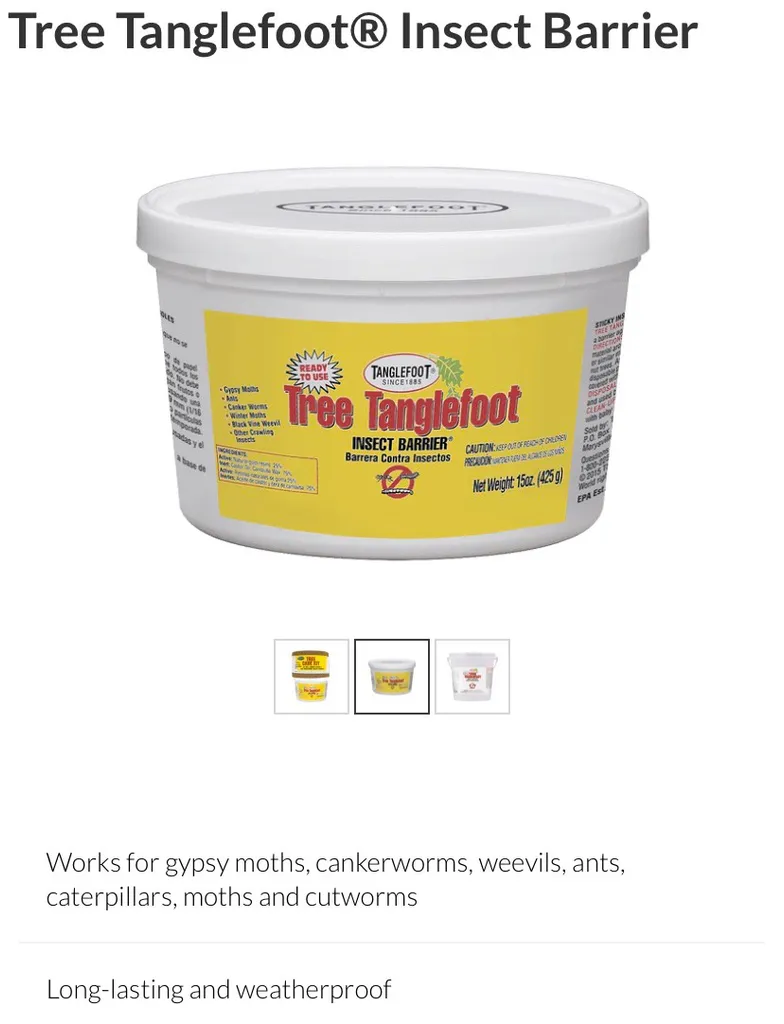 Tree Tanglefoot (insect Barrier) photo 1