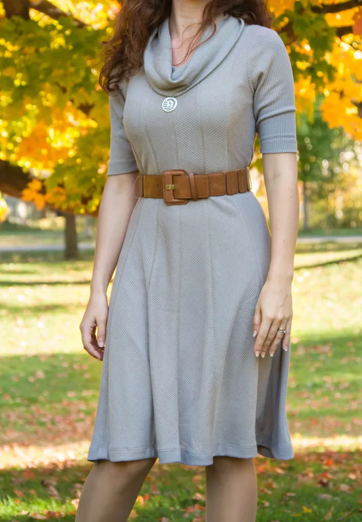Beige/Mocha Fall Dress photo 1