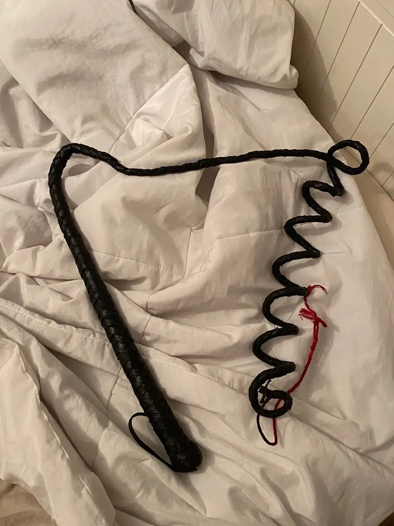 Authentic Whip photo 1