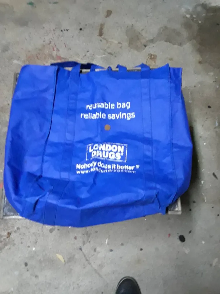 Free Large Enviro-bag photo 1