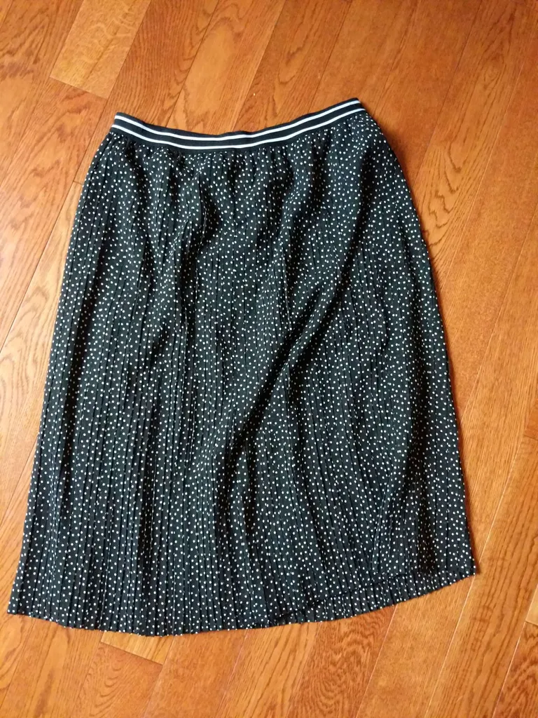 Pleated polka dot skirt photo 1