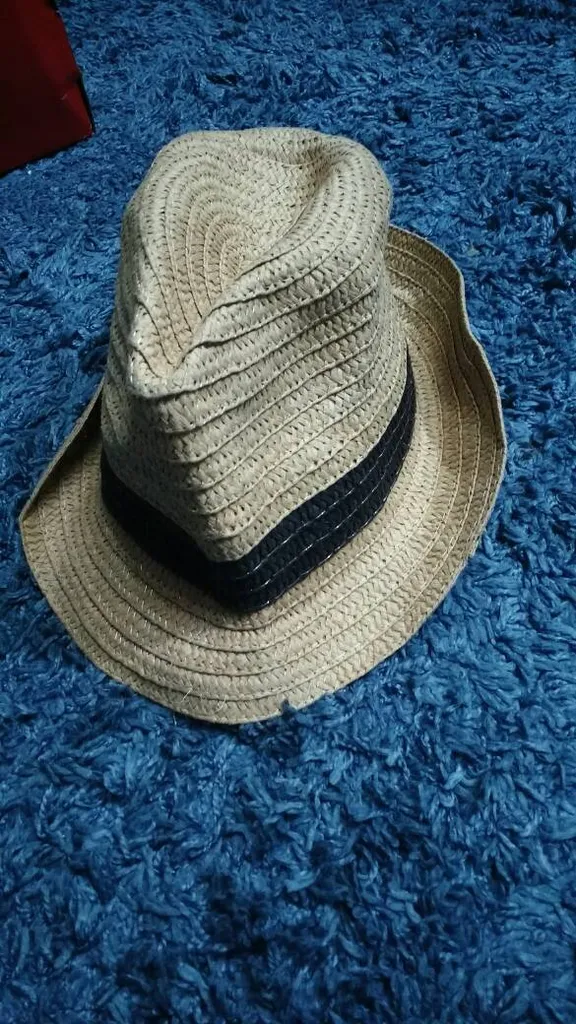 FREE - Straw Fedora photo 1