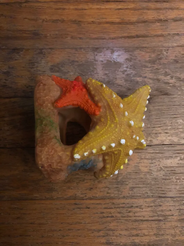 Aquarium Decor photo 1