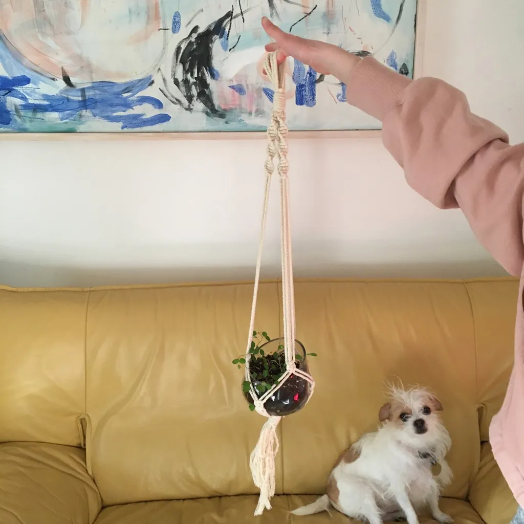 Macrame Plant Hanger 🪴 photo 1