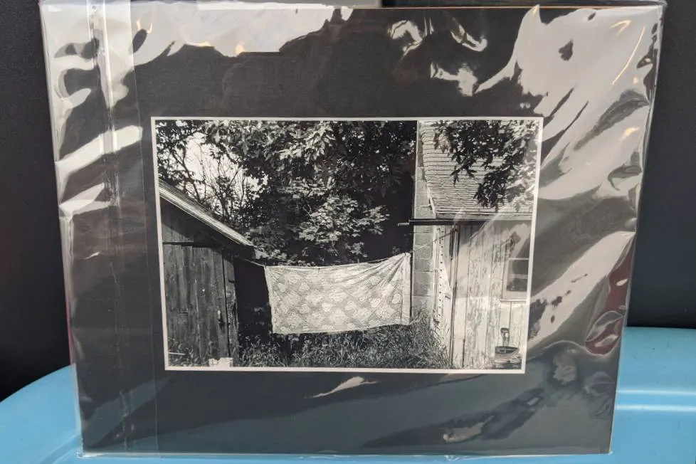 BNIP Art - Photograph photo 1