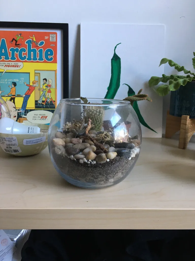Terrarium photo 1