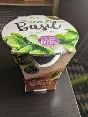 low-maintenance basil growing plant/kit photo 1