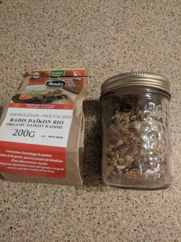 Sprouting Seeds photo 1