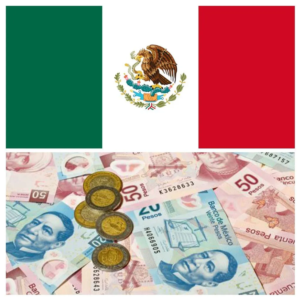 $1650 MEX Pesos photo 1