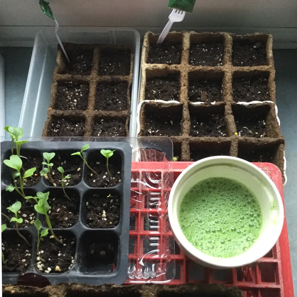 Quality Organic Soil — for ISOs photo 1