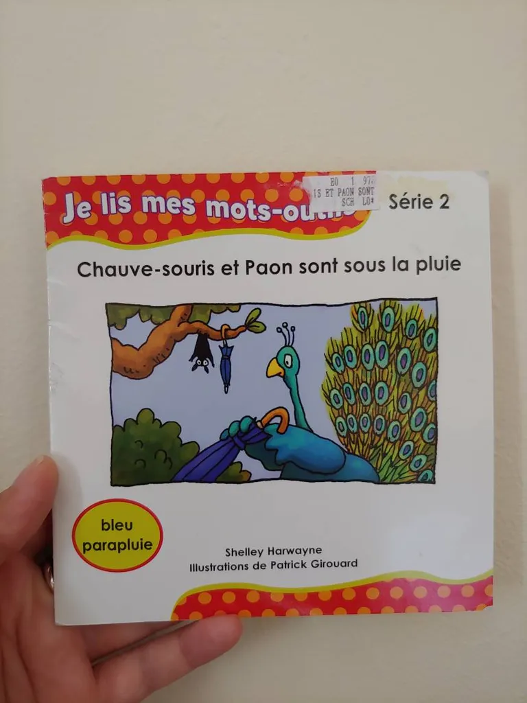 French Early Reader Book photo 1