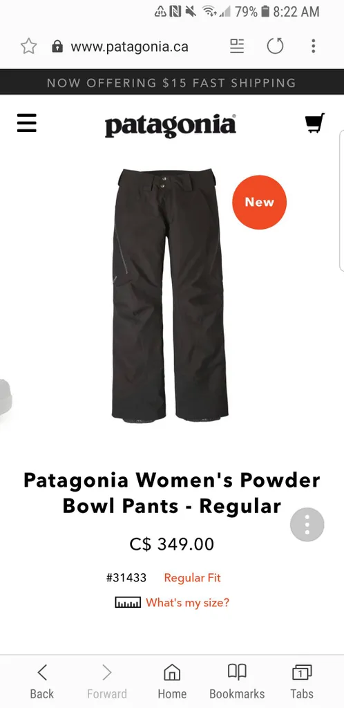 Patagonia Womens Powder Bowl Pants photo 1