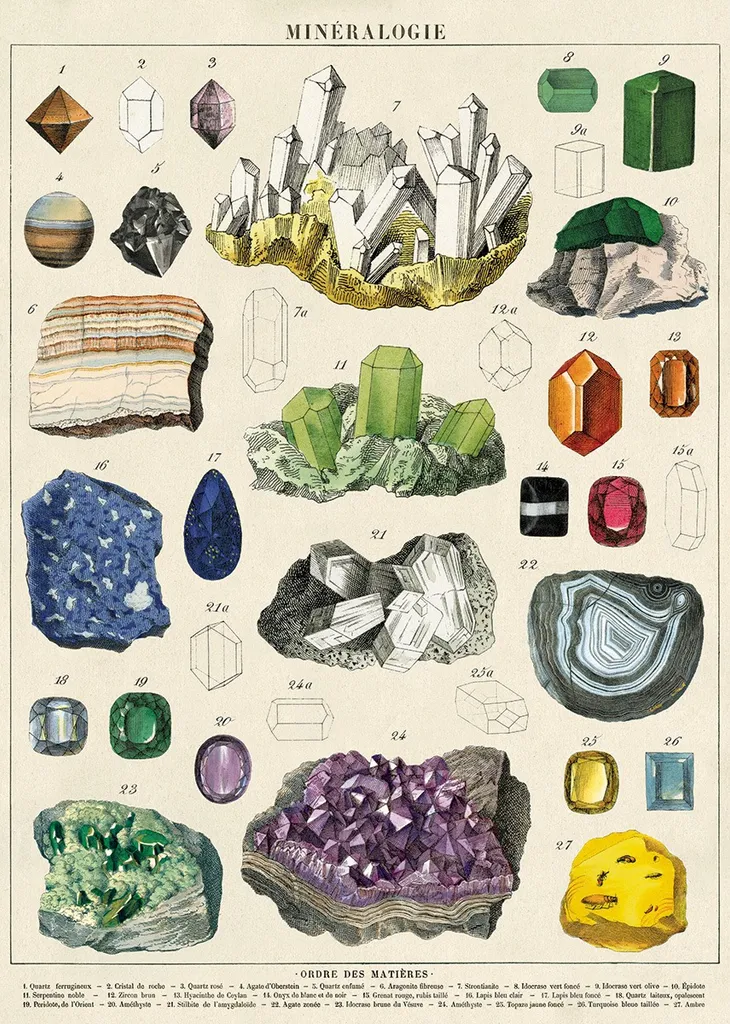 Cavallini’s mineralogie (20x28”) photo 1