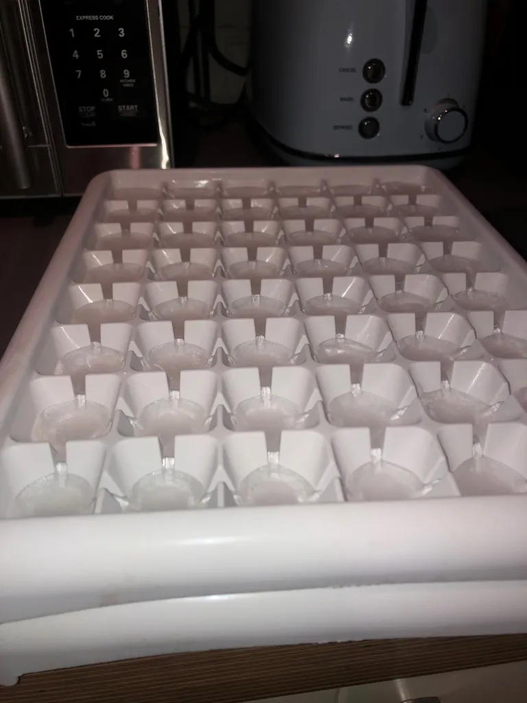 free ice cube trays! photo 1