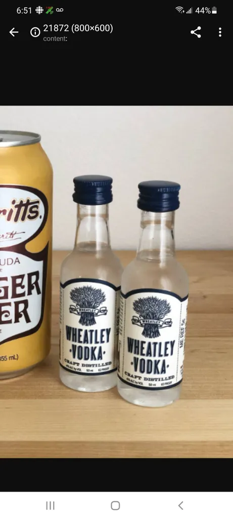 15 - 50 ml mini bottles photo 1