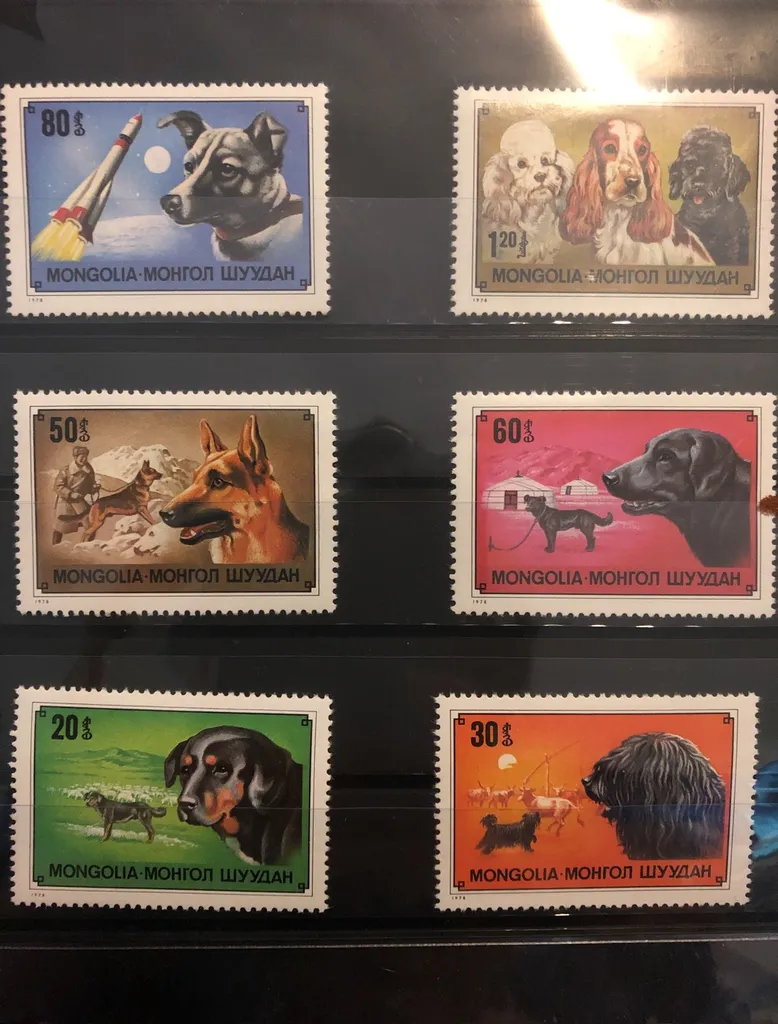 9 Mongolia Dogs Postage Stamps photo 1