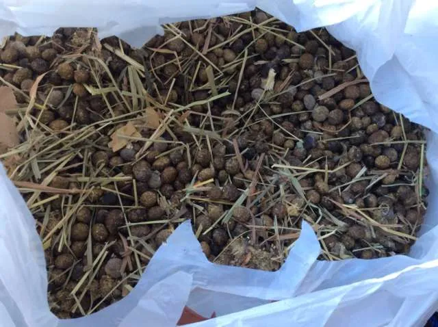 99 Problems But Shit Ain't One! photo 1