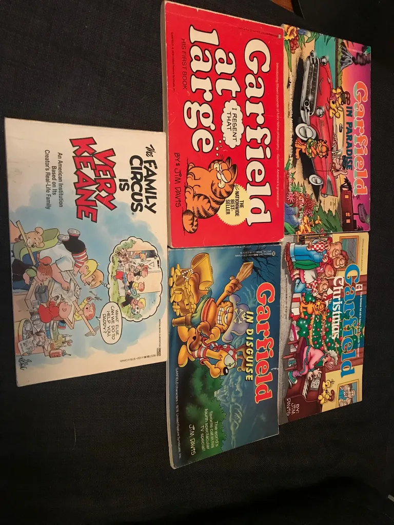 Classic Comicbooks - Garfield Disguise photo 1