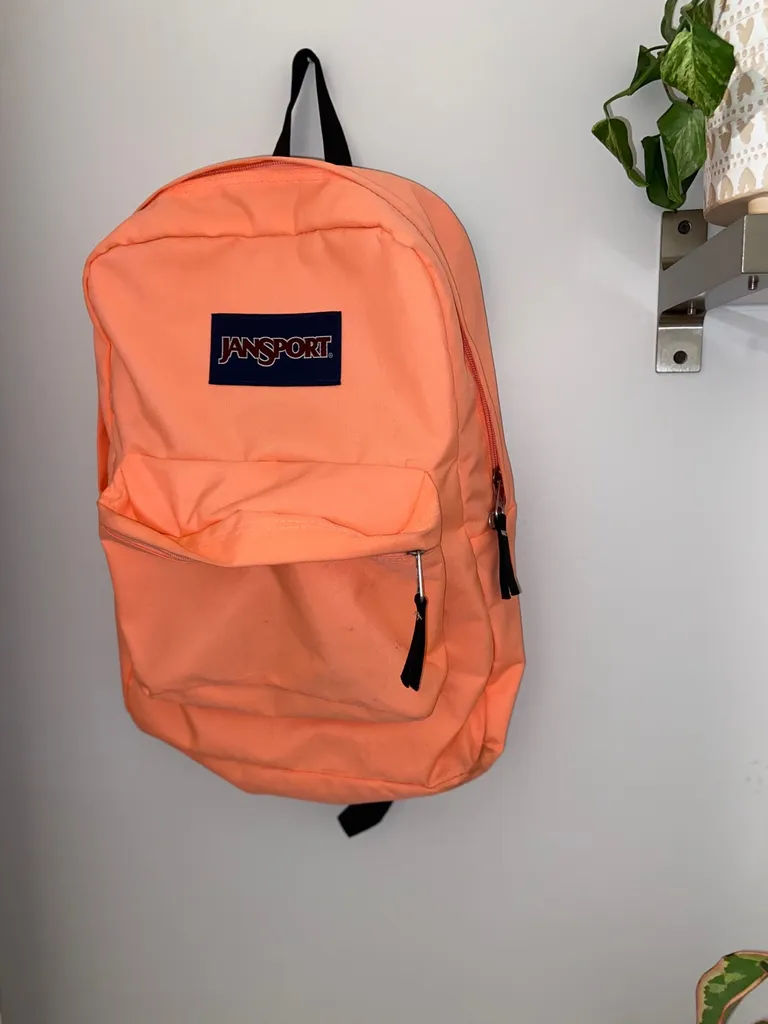 Pink Jansport Bag photo 1