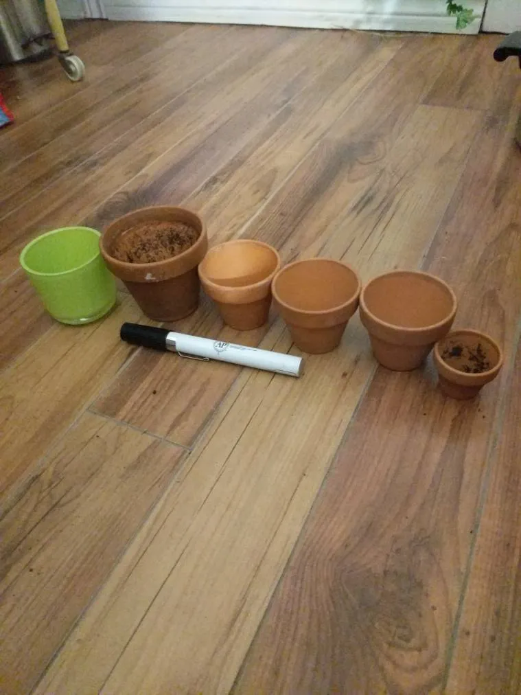 Super Cute Mini Pots photo 1