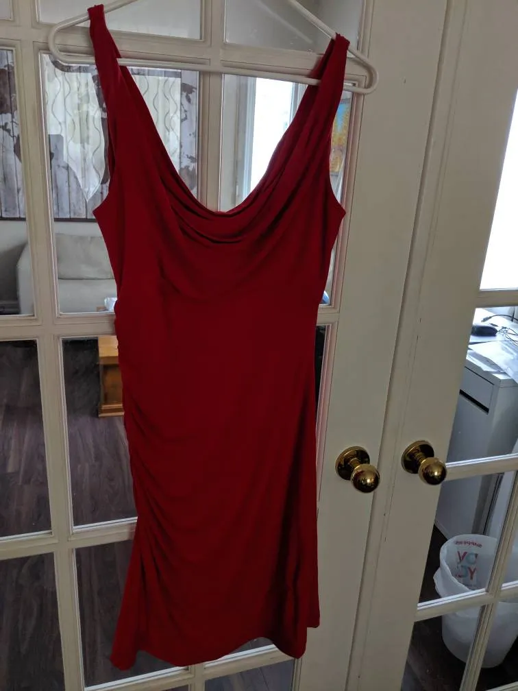 Joseph Ribkoff Lined Ted Dress With Cowl Neckline photo 1