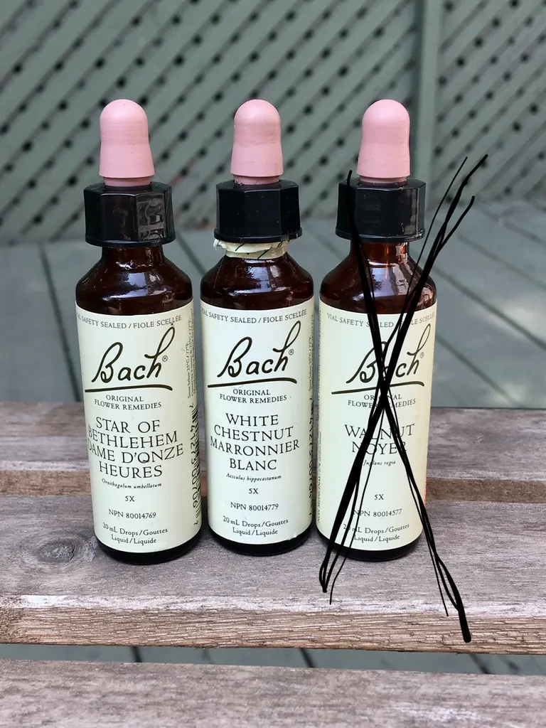 Bach Remedies photo 1