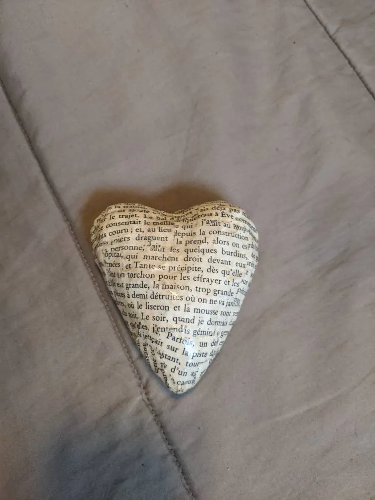 Paper Mache Heart photo 1