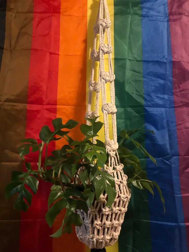 Macrame Plant Hangers photo 1