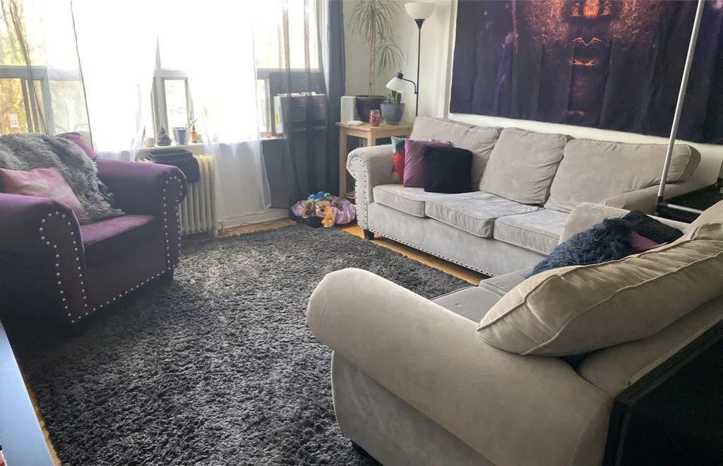 Amazing 3 Piece Couch - Love seat And Chair photo 1