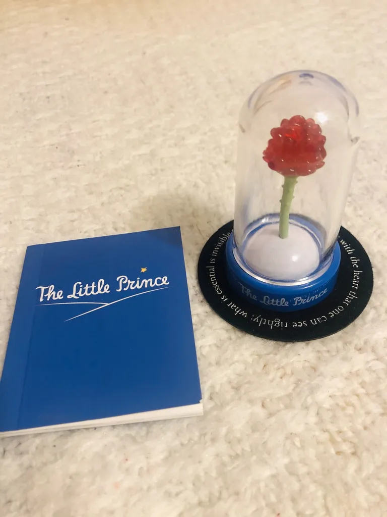 The Little Prince Souvenir photo 1