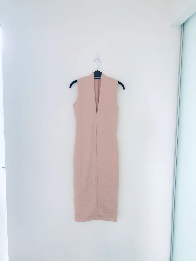 Pale Pink Zara Crepe Dress photo 1