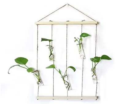 5 tube propagation station 🌱 photo 1