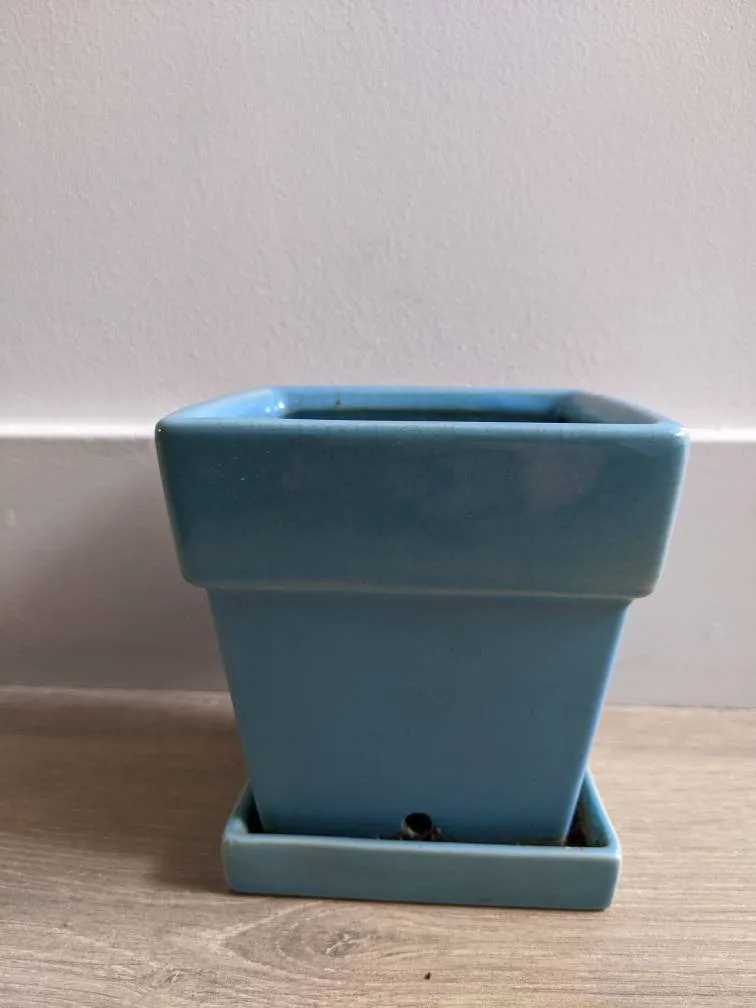 Small Blue Planter photo 1