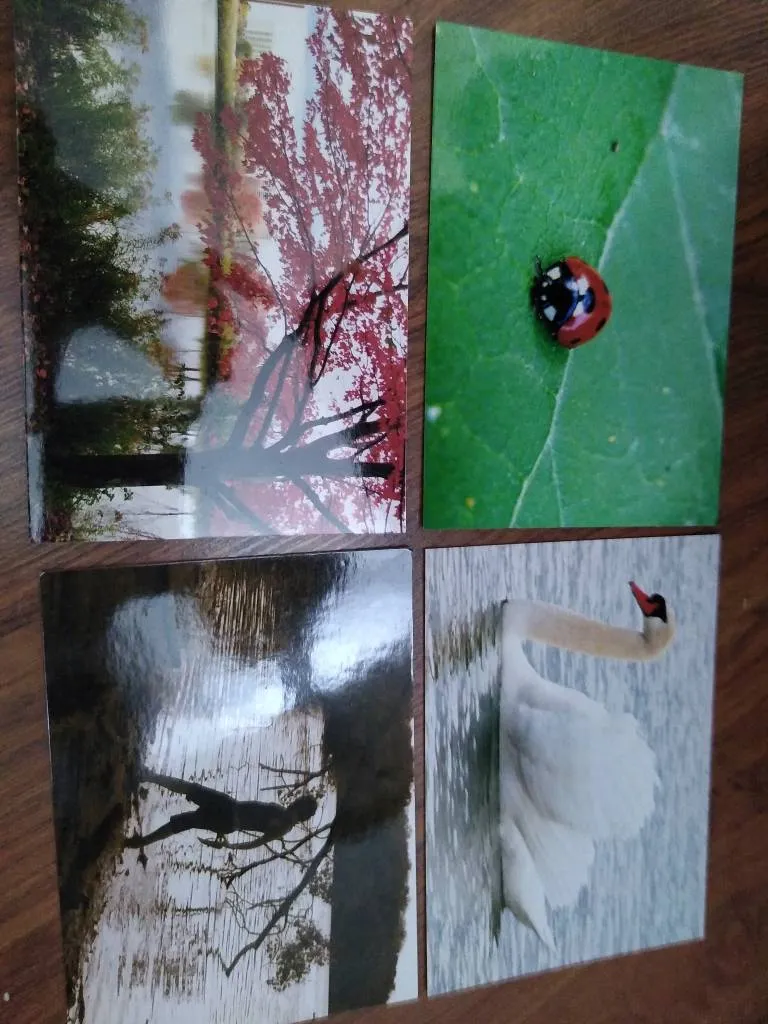 Nature Scenes Photo Art photo 1