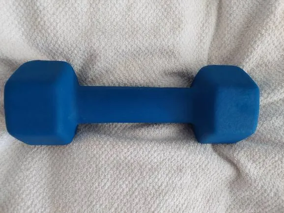 Single 10 lb Dumbbell Weight photo 1