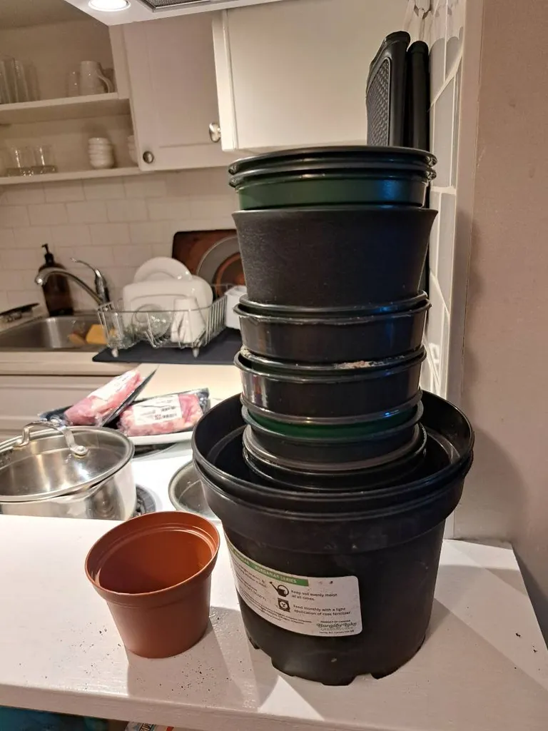 Free! Pickup near Kits beach photo 1