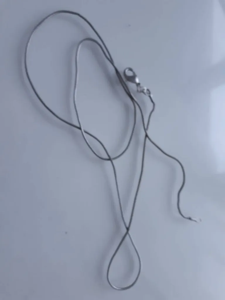 Snake Silver Chain photo 1