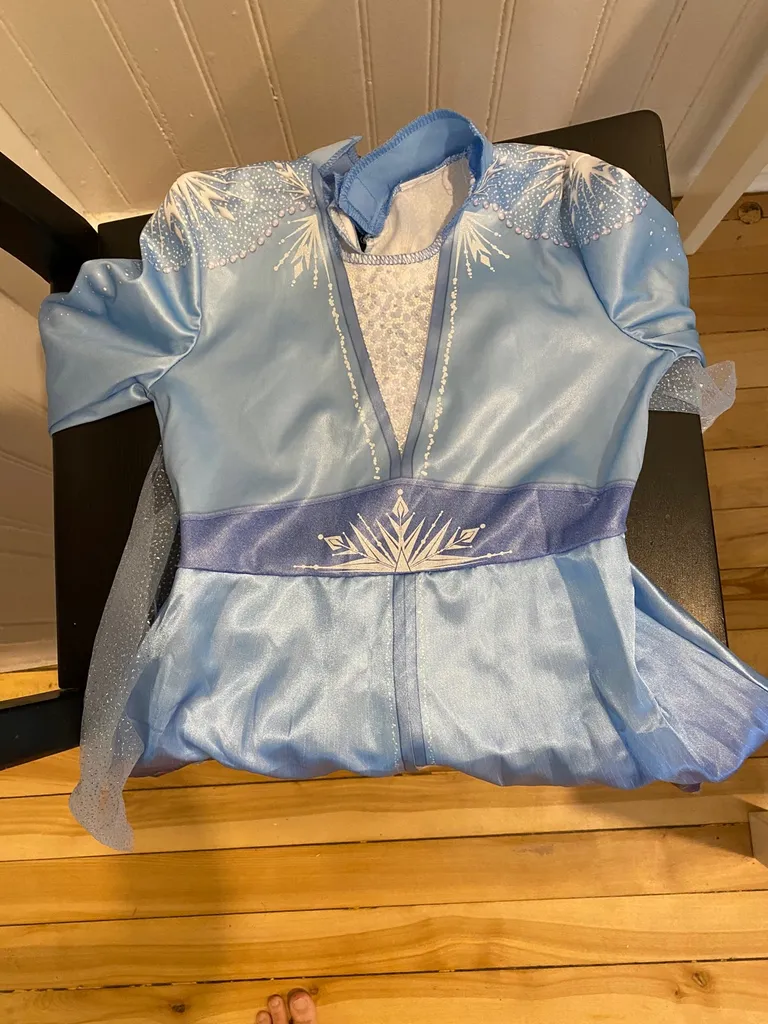 Elsa Costume For A Toddler photo 1