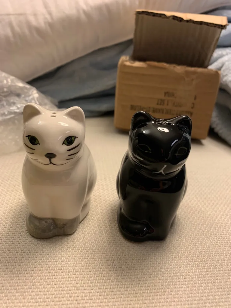 Cat Salt & pepper shaker photo 1