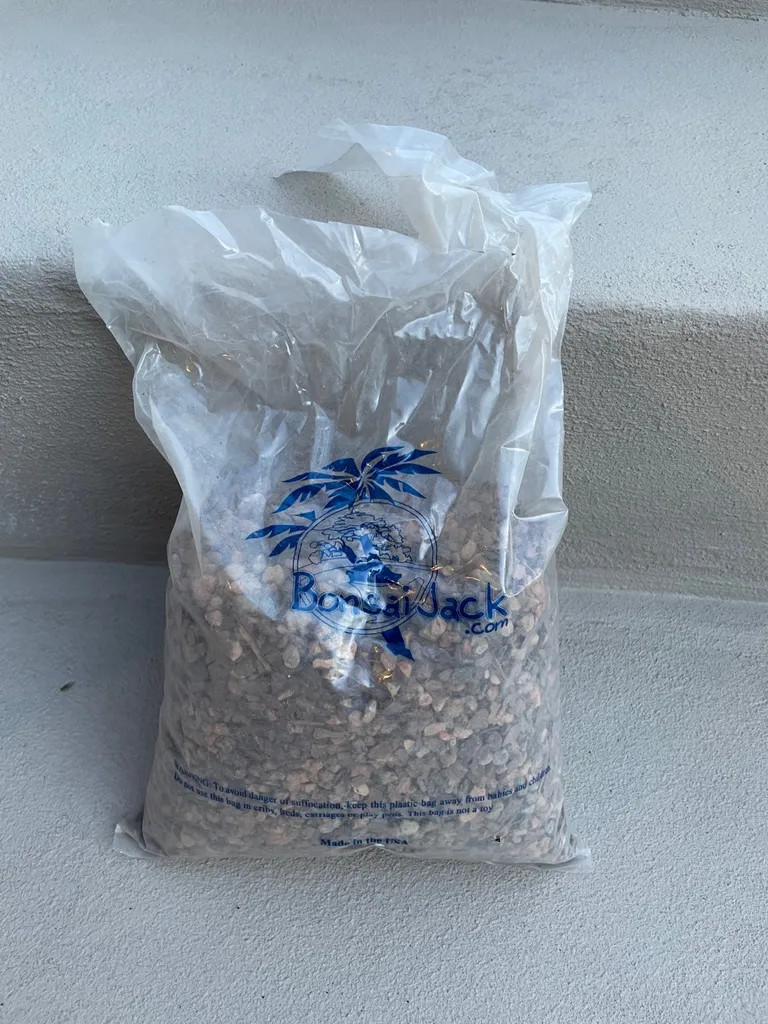 Bonsai Jack - Succulent And Cactus Mix photo 1