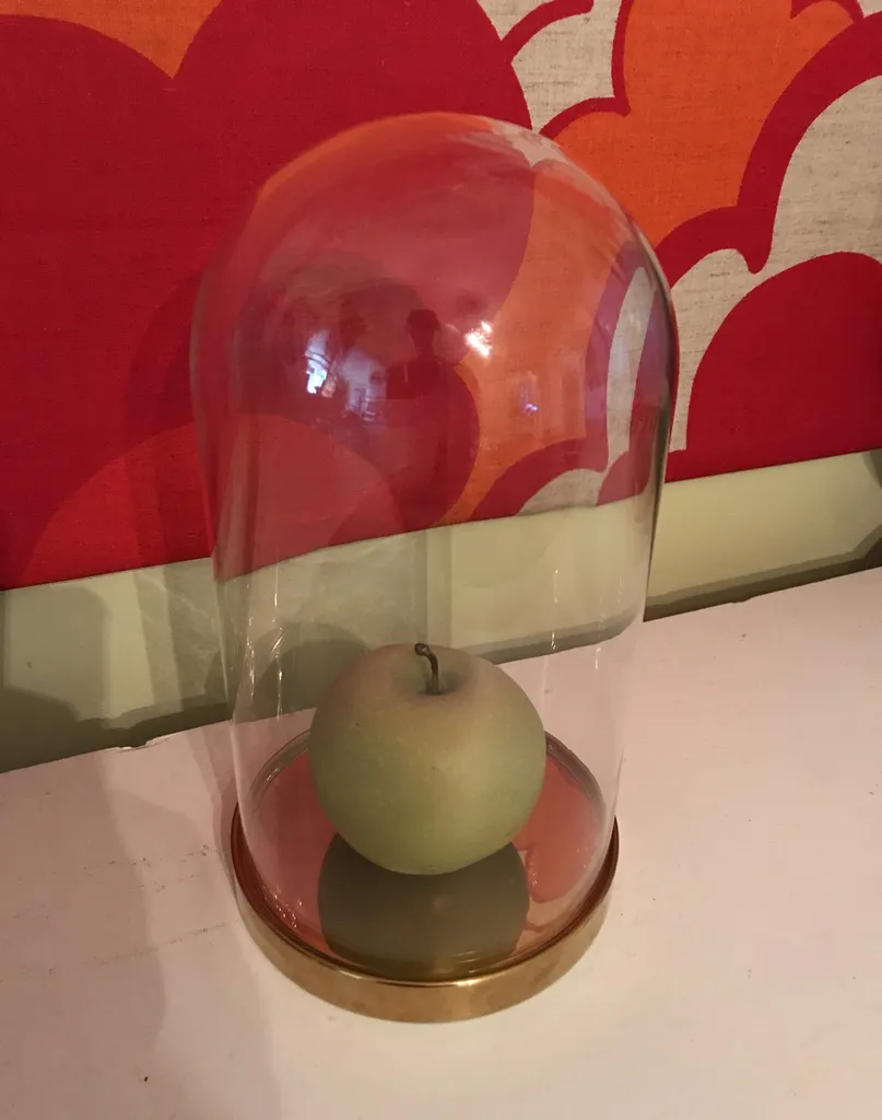 Glass Cloche photo 1