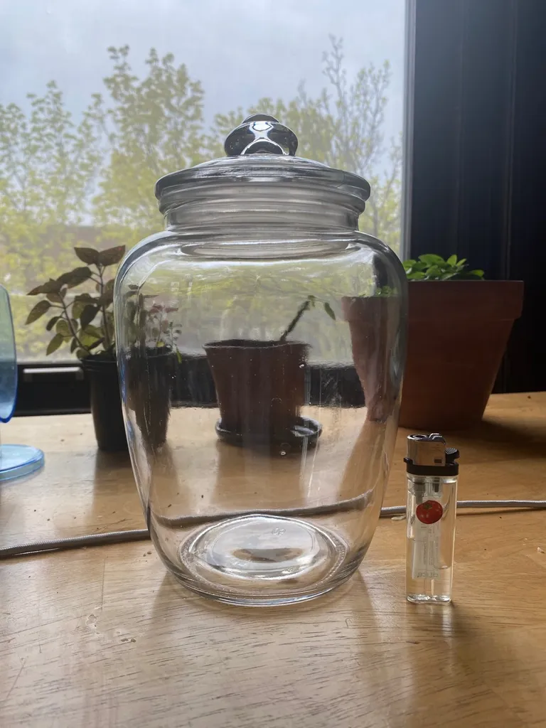 big glass jar photo 1