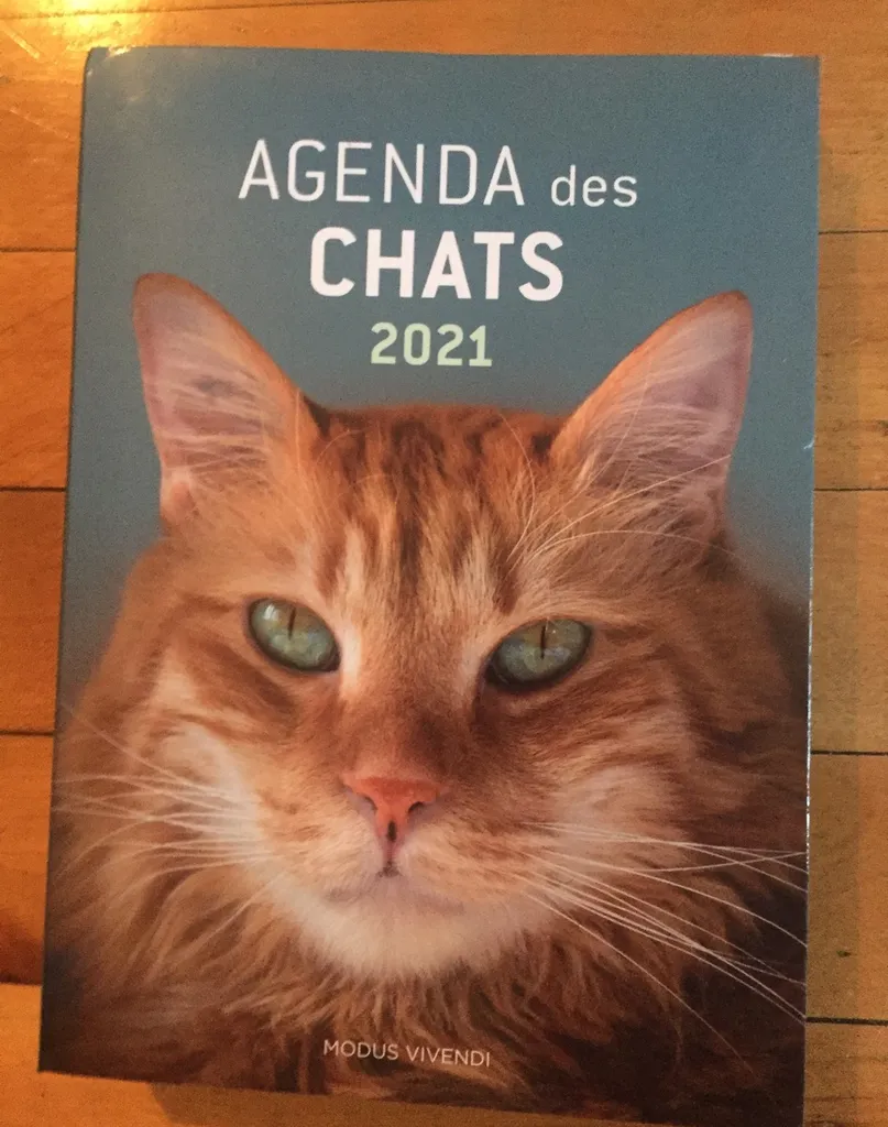2021 Agenda for Cat Lovers photo 1
