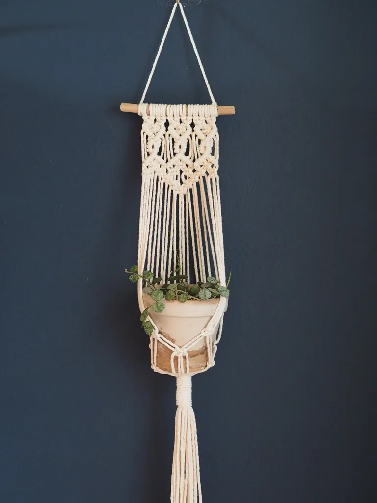 Macrame Wall Plant Hanger photo 1