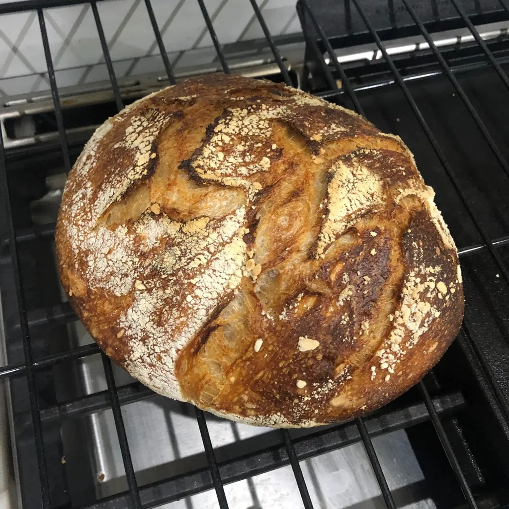 Sourdough Bread photo 1