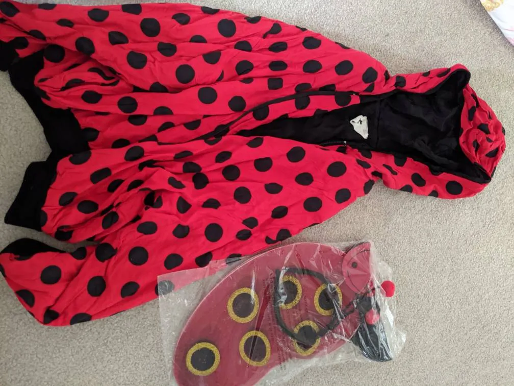 Ladybug (?) Costume photo 1