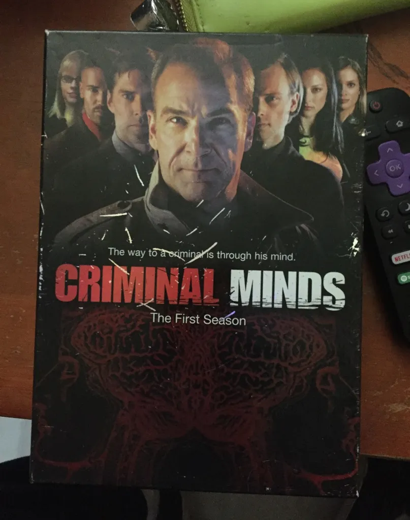 DVDs ( Criminal Mind First Season ) photo 1