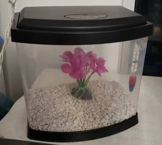 Betta Fish Tank Set photo 1